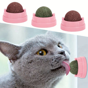 3-Pack Catnip Balls for Cats – Dental Hygiene & Play in Pink & Green