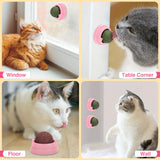 3-Pack Catnip Balls for Cats – Dental Hygiene & Play in Pink & Green