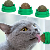 3-Pack Catnip Balls for Cats – Dental Hygiene & Play in Pink & Green