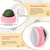 3-Pack Catnip Balls for Cats – Dental Hygiene & Play in Pink & Green