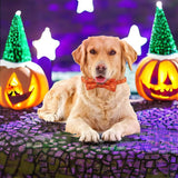 Halloween Dog & Cat Collar with Bell – Adjustable Bow Tie for Pets