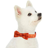 Halloween Dog & Cat Collar with Bell – Adjustable Bow Tie for Pets