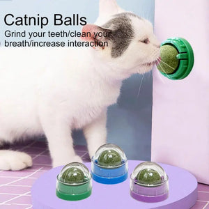 Lickable Catnip Balls for Cats – Dental Care & Fun Play