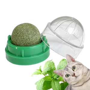 Lickable Catnip Balls for Cats – Dental Care & Fun Play