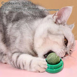 Lickable Catnip Balls for Cats – Dental Care & Fun Play