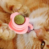 Edible Catnip Licking Ball – Fun & Healthy Cat Treat