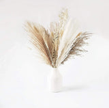 30pcs Dried Pampas Grass Premium Dry Bouquet with Naturally Pampa for Boho Home Decor Wedding Decoration DIY Small Reed Plants