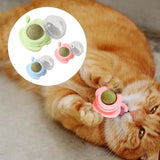 Edible Catnip Licking Ball – Fun & Healthy Cat Treat