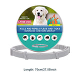 Flea Collar Dog Anti Flea And Ticks Cat Collar Pet 8Month Protection Retractable Pet Collars For Puppy Cat Large Dogs Accessorie