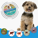 Flea Collar Dog Anti Flea And Ticks Cat Collar Pet 8Month Protection Retractable Pet Collars For Puppy Cat Large Dogs Accessorie