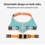 Adjustable No-Pull Dog Harness with Quick-Release & Padded Comfort