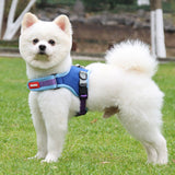 Adjustable No-Pull Dog Harness with Quick-Release & Padded Comfort