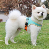 Adjustable No-Pull Dog Harness with Quick-Release & Padded Comfort