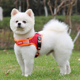 Adjustable No-Pull Dog Harness with Quick-Release & Padded Comfort