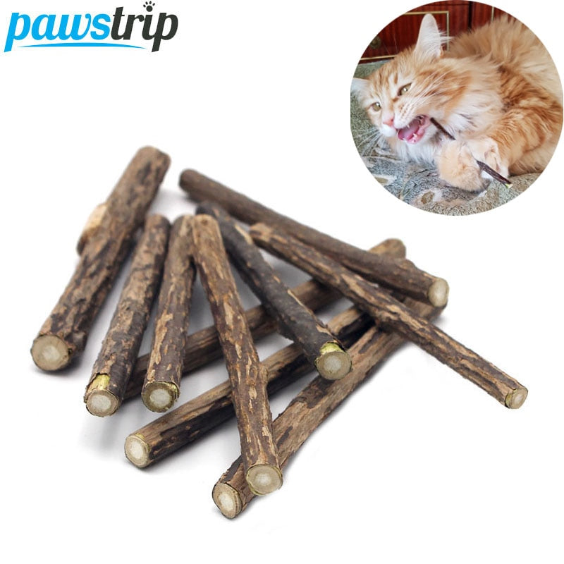10/15/20pcs healthy cat snacks Natural Matatabi Pet Cat Snacks Sticks Cleaning Tooth Catnip Cat Toys Actinidia Silvervine Pet Toy For Cats