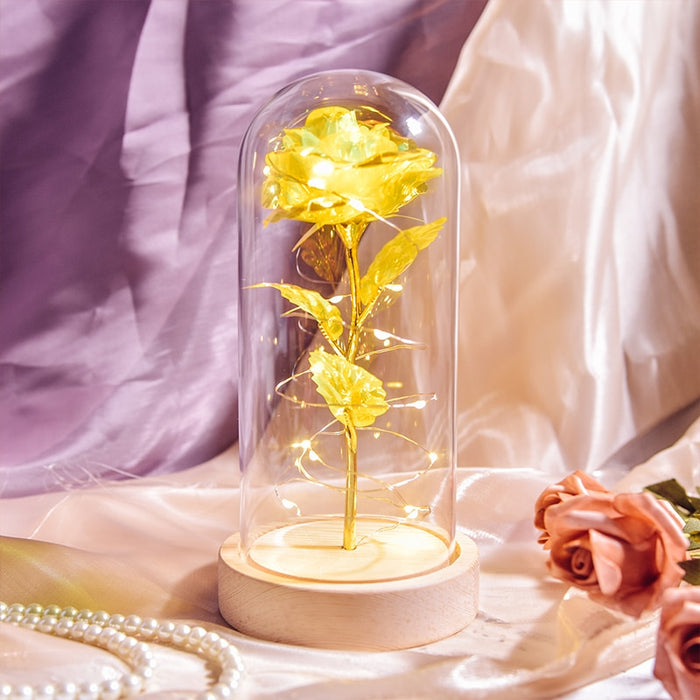 Christmas Gift Beauty and The Beast Preserved Roses In Glass Galaxy Rose Flower LED Light Artificial Flower Gift for Women Girls
