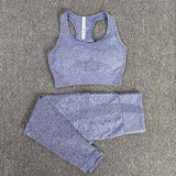 Seamless Gym Clothing Women Gym Yoga Set Fitness Workout Sets Yoga Top And Athletic Legging Women&#39;s Sportswear Suit