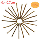 10/15/20pcs healthy cat snacks Natural Matatabi Pet Cat Snacks Sticks Cleaning Tooth Catnip Cat Toys Actinidia Silvervine Pet Toy For Cats