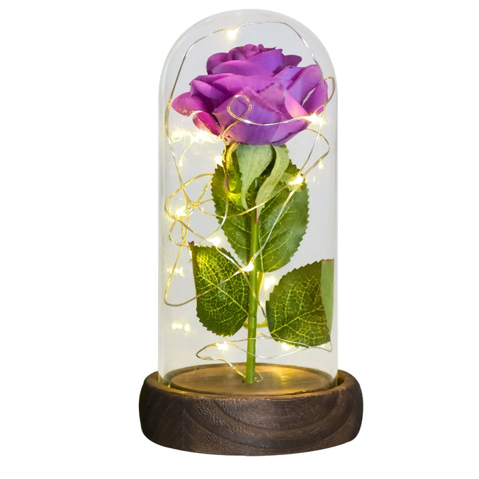 Christmas Gift Beauty and The Beast Preserved Roses In Glass Galaxy Rose Flower LED Light Artificial Flower Gift for Women Girls
